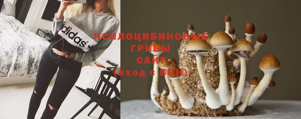 мдпв Липки