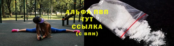 сатива Лихославль
