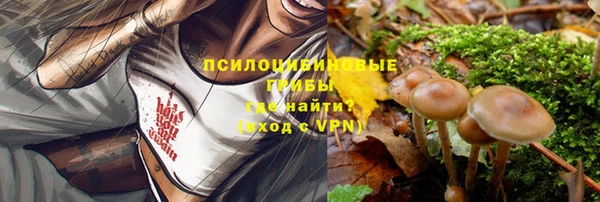бошки Лагань