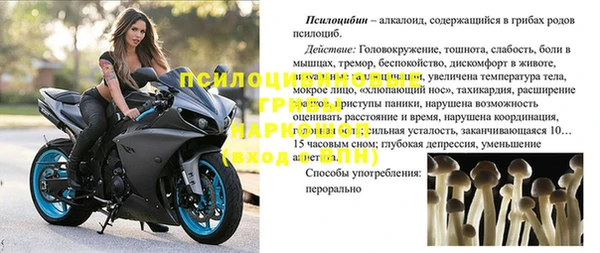 мдпв Липки