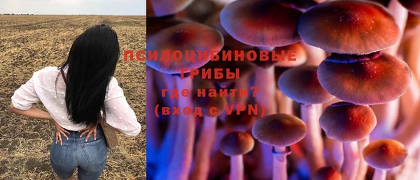 метадон Ладушкин