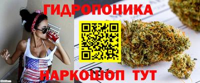герыч Камышлов