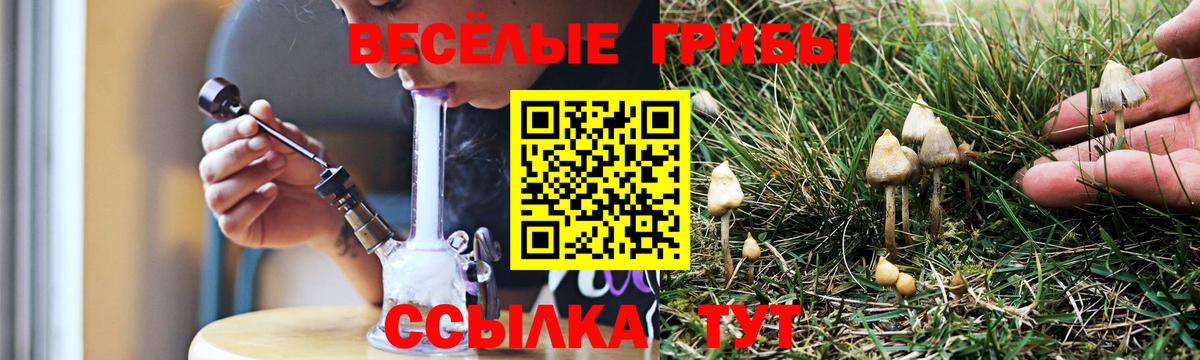 Галлюциногенные грибы мухоморы Лабытнанги