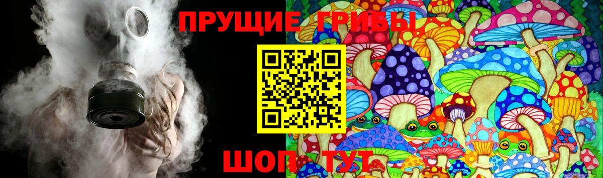 Лабытнанги  Галлюциногенные грибы мицелий  Вход с VPN  Псилоцибиновые грибы Psilocybe 